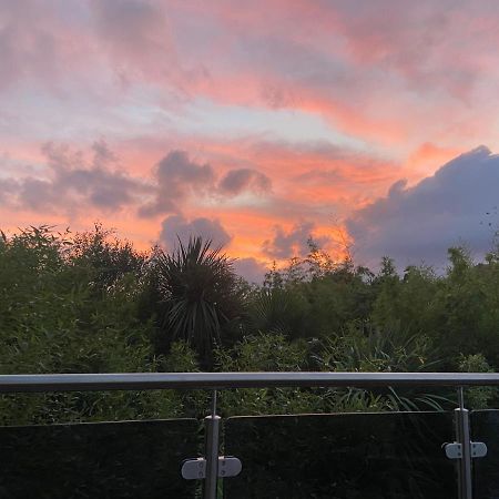 WOW! Jungle Cabin Hottub, 4 poster bed, Nr Coast Martin Mill Exterior foto
