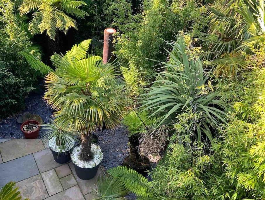 WOW! Jungle Cabin Hottub, 4 poster bed, Nr Coast Martin Mill Exterior foto