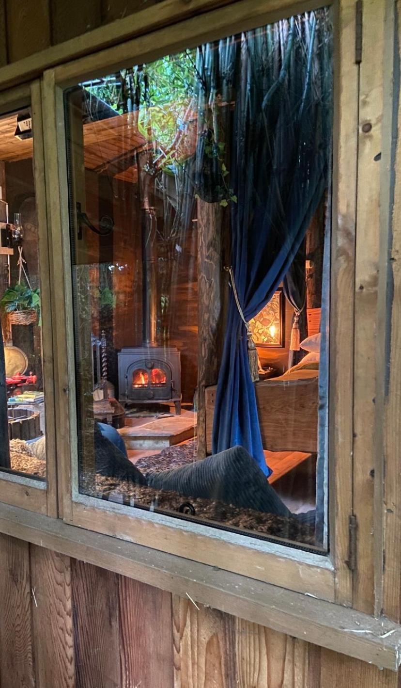WOW! Jungle Cabin Hottub, 4 poster bed, Nr Coast Martin Mill Exterior foto