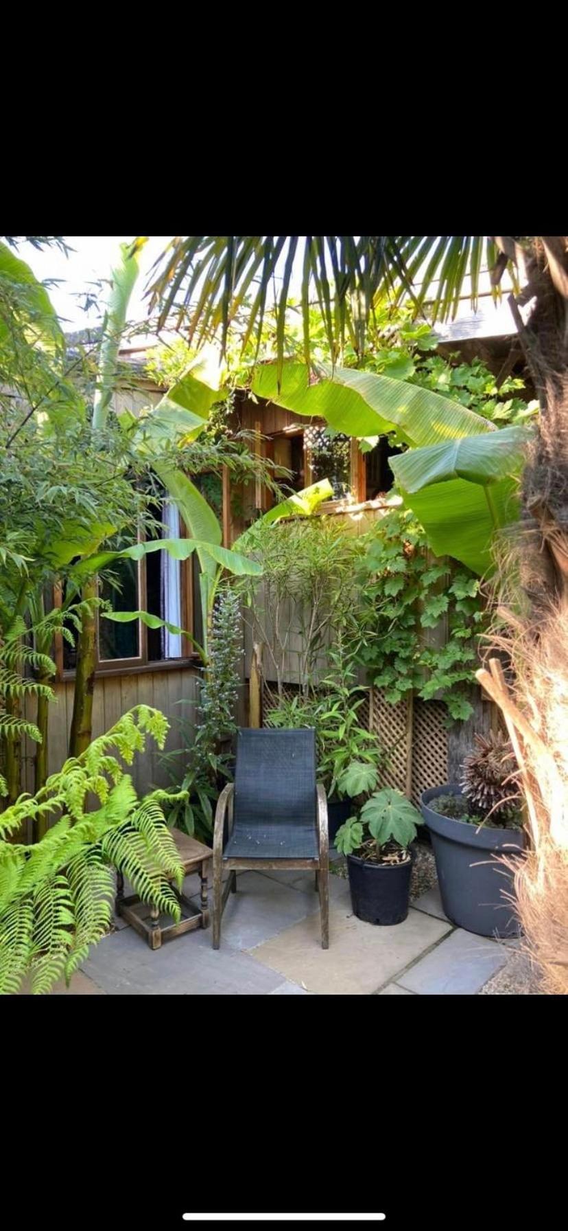WOW! Jungle Cabin Hottub, 4 poster bed, Nr Coast Martin Mill Exterior foto